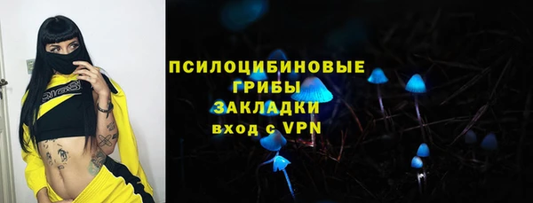 ГАЛЛЮЦИНОГЕННЫЕ ГРИБЫ Армянск