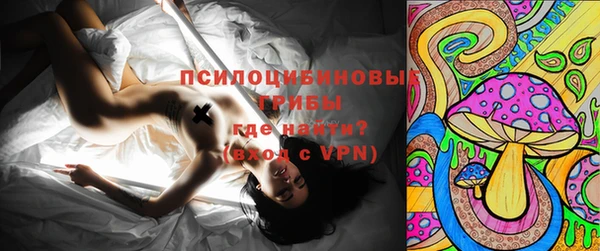 ГАЛЛЮЦИНОГЕННЫЕ ГРИБЫ Армянск
