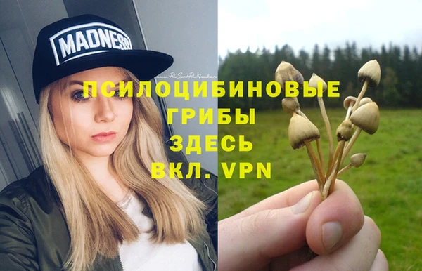 ГАЛЛЮЦИНОГЕННЫЕ ГРИБЫ Армянск