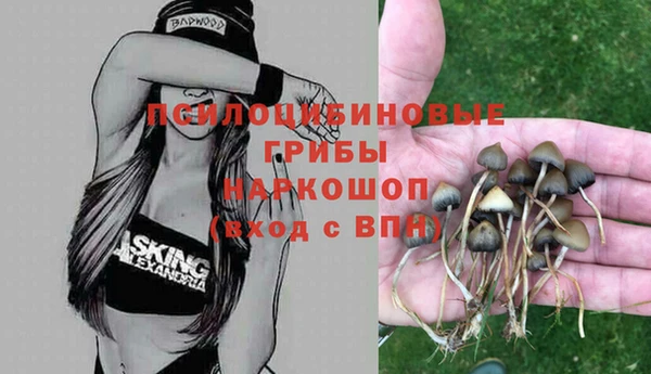 трава Арсеньев