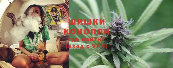 ГАЛЛЮЦИНОГЕННЫЕ ГРИБЫ Армянск